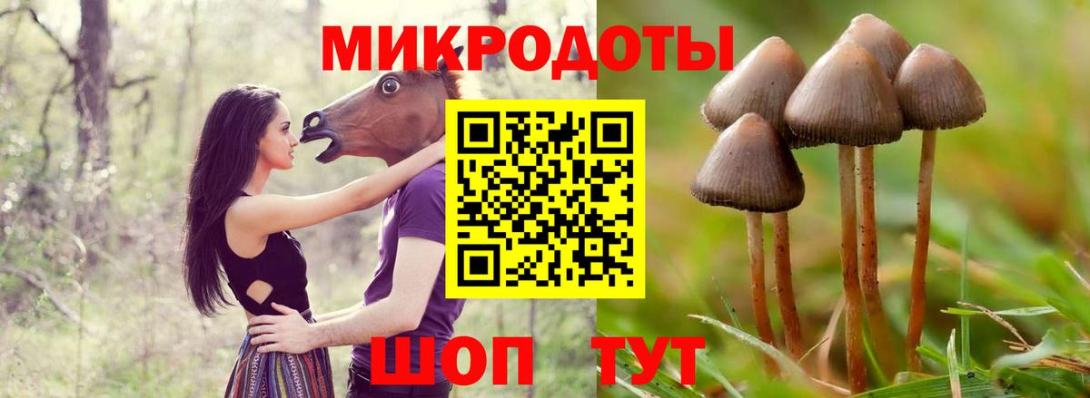 Псилоцибиновые грибы MAGIC MUSHROOMS Ульяновск